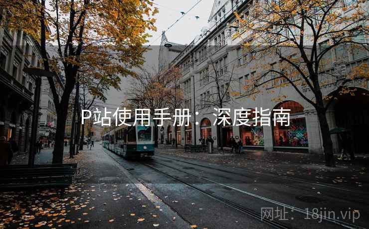 P站使用手册:深度指南 P站使用手册:深度指南
